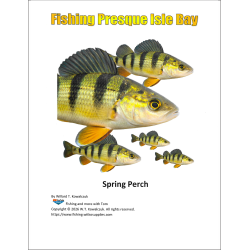Fishing Presque Isle Bay - Spring Perch