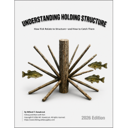 Understanding Holding Structure
