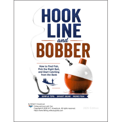 Hook Line and Bobber Beginner Fishing Guide